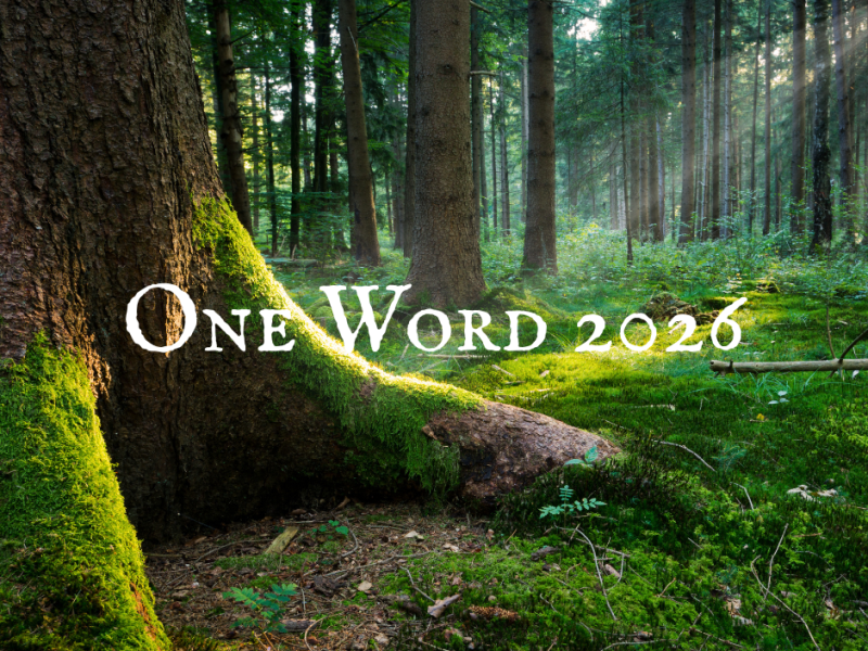 One Word 2026:&nbsp;Content